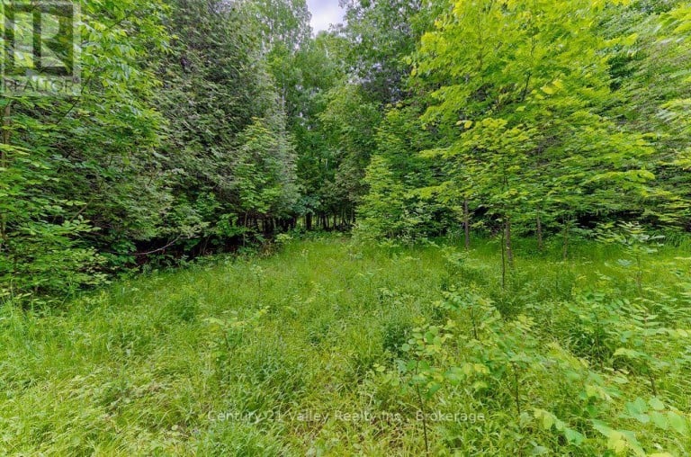 1148 MT ST PATRICK ROAD, Admaston/Bromley, Ontario, K7V3Z7