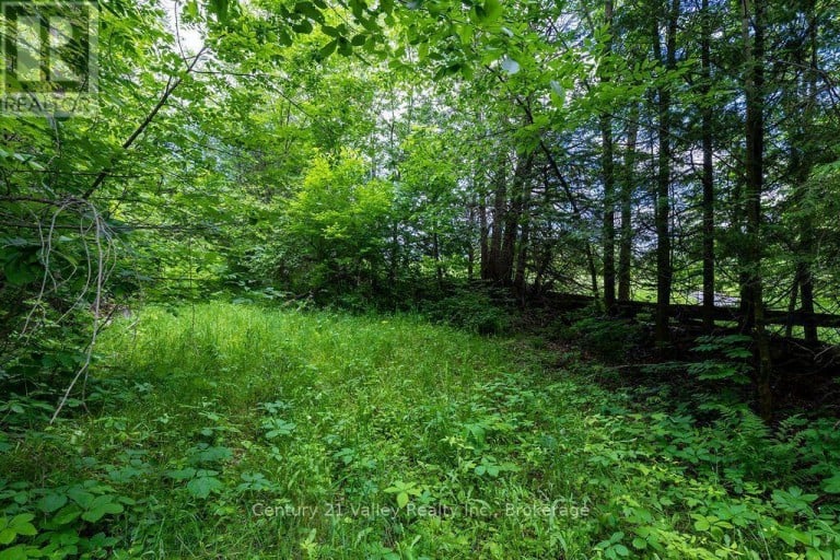 1148 MT ST PATRICK ROAD, Admaston/Bromley, Ontario, K7V3Z7