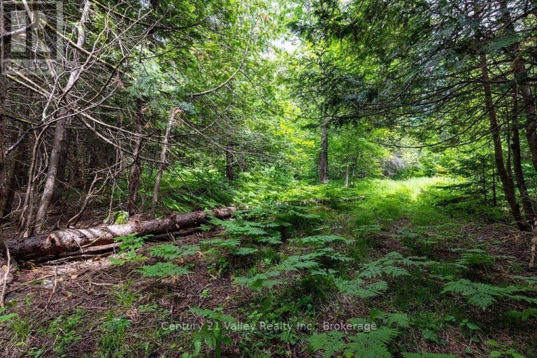 1148 MT ST PATRICK ROAD, Admaston/Bromley, Ontario, K7V3Z7