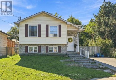 BASEMENT - 255 GREENWOOD AVENUE Oshawa (Vanier) Ontario photo 1