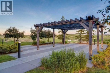 147 Copperstone Park SE Calgary Alberta photo 37
