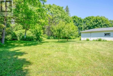 224 NICKERSON DRIVE Cobourg Ontario photo 29