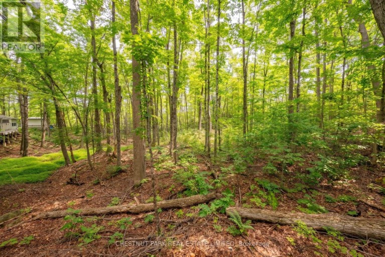 110 FIRE ROUTE 367, Trent Lakes, Ontario, K0M2A0