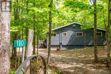 110 FIRE ROUTE 367 Trent Lakes Ontario photo 3