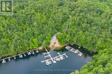 110 FIRE ROUTE 367 Trent Lakes Ontario photo 42