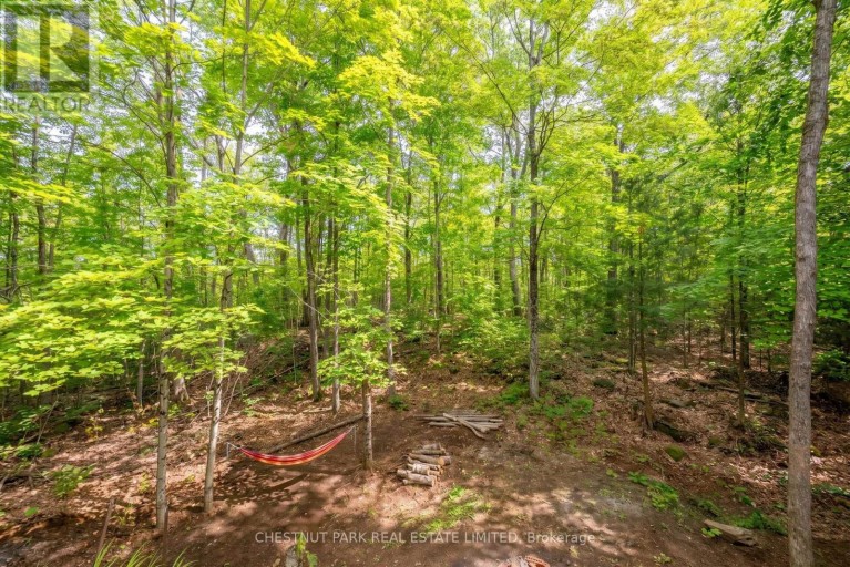 110 FIRE ROUTE 367, Trent Lakes, Ontario, K0M2A0