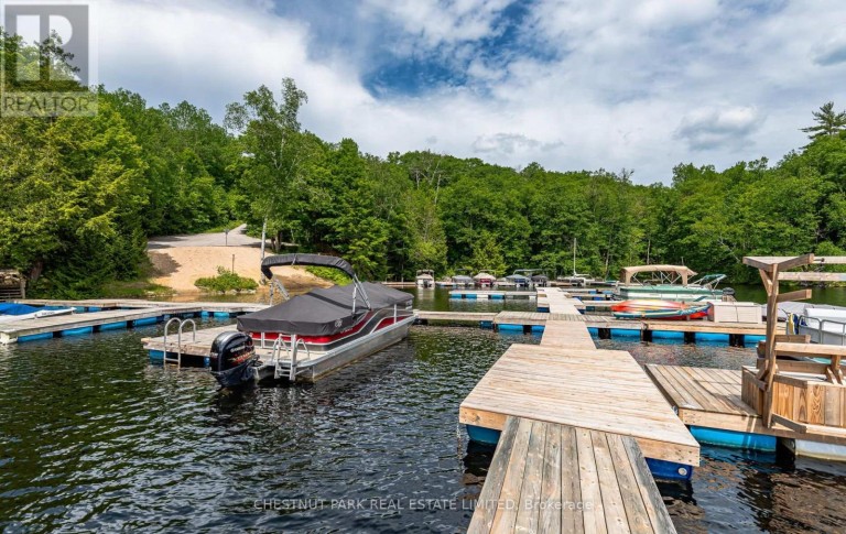 110 FIRE ROUTE 367, Trent Lakes, Ontario, K0M2A0