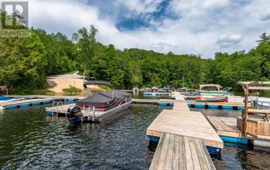 110 FIRE ROUTE 367 Trent Lakes Ontario photo 48