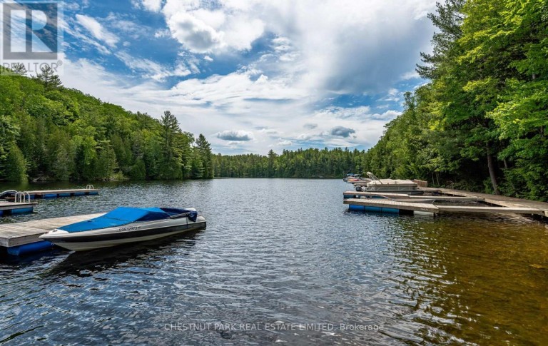 110 FIRE ROUTE 367, Trent Lakes, Ontario, K0M2A0