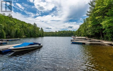 110 FIRE ROUTE 367 Trent Lakes Ontario photo 49
