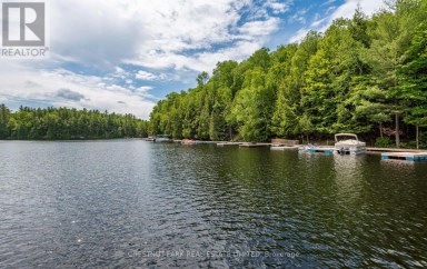 110 FIRE ROUTE 367 Trent Lakes Ontario photo 50