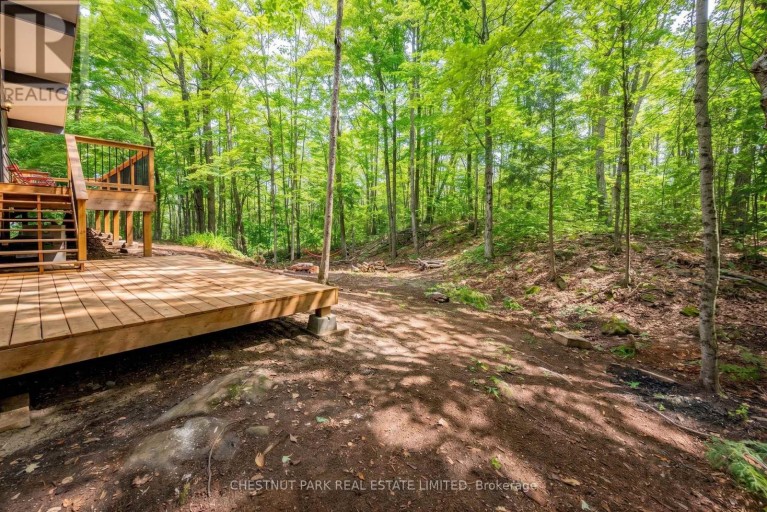 110 FIRE ROUTE 367, Trent Lakes, Ontario, K0M2A0