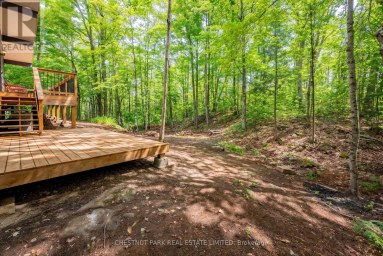 110 FIRE ROUTE 367 Trent Lakes Ontario photo 7