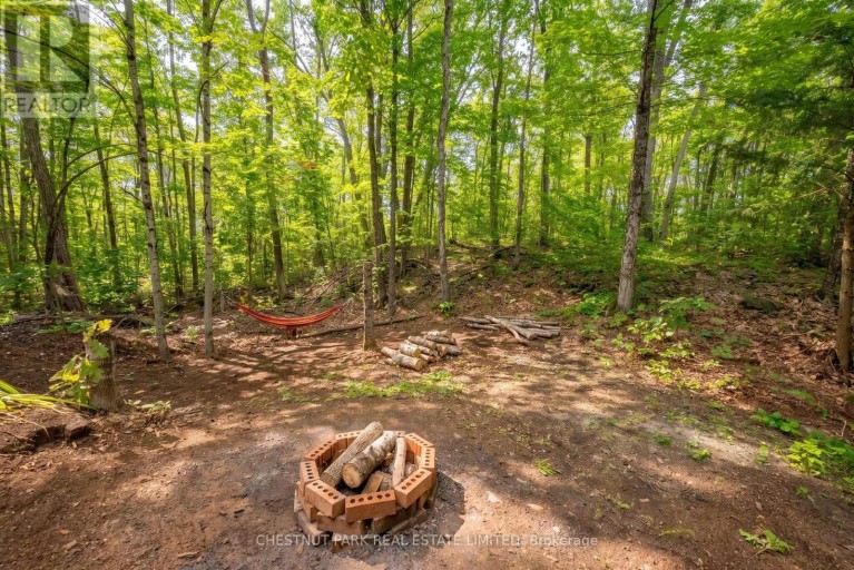 110 FIRE ROUTE 367, Trent Lakes, Ontario, K0M2A0