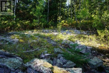 145 LITTLE SAND LAKE Kenora Remote Area (Minaki-Winnepeg River) Ontario photo 23