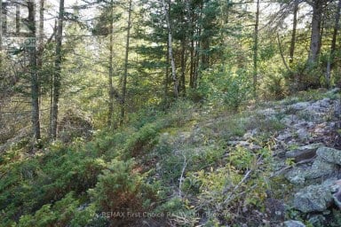 145 LITTLE SAND LAKE Kenora Remote Area (Minaki-Winnepeg River) Ontario photo 24