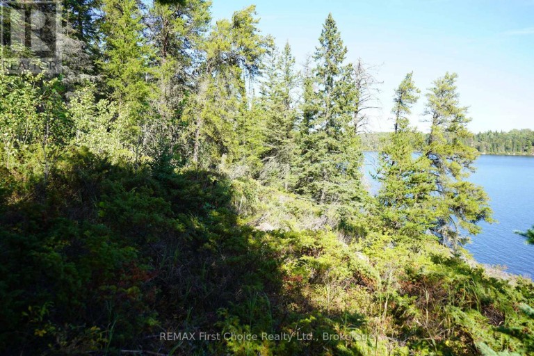 145 LITTLE SAND LAKE, Kenora Remote Area (Minaki-Winnepeg River), Ontario, P0X1J0