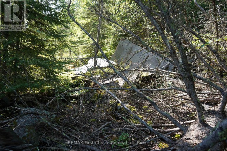 145 LITTLE SAND LAKE, Kenora Remote Area (Minaki-Winnepeg River), Ontario, P0X1J0