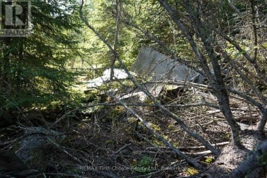 145 LITTLE SAND LAKE Kenora Remote Area (Minaki-Winnepeg River) Ontario photo 31