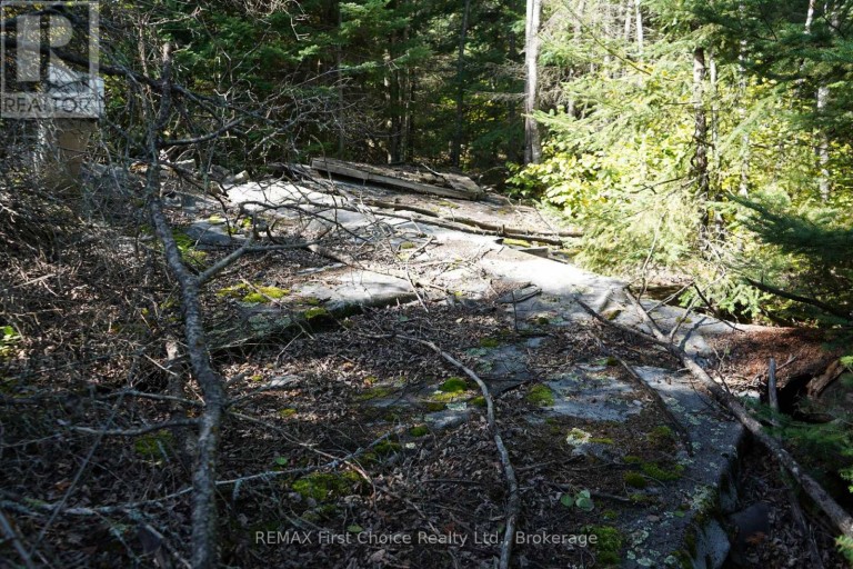 145 LITTLE SAND LAKE, Kenora Remote Area (Minaki-Winnepeg River), Ontario, P0X1J0