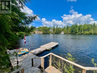 1024 RANTA TRAIL Minden Hills (Snowdon) Ontario photo 2