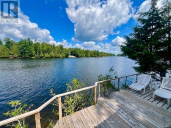 1024 RANTA TRAIL Minden Hills (Snowdon) Ontario photo 4