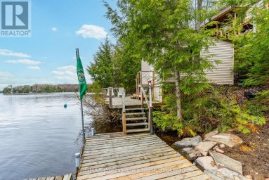 1024 RANTA TRAIL Minden Hills (Snowdon) Ontario photo 5