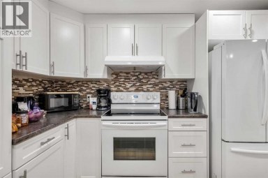 4116 Brisebois Drive NW Calgary Alberta photo 25