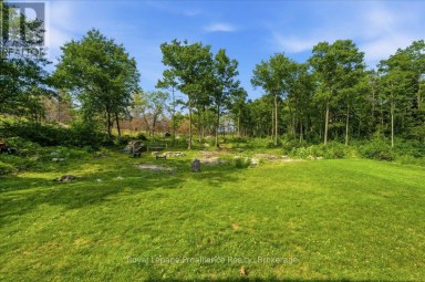 10389 41 HIGHWAY Addington Highlands (Addington Highlands) Ontario photo 32
