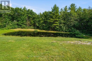 10389 41 HIGHWAY Addington Highlands (Addington Highlands) Ontario photo 35
