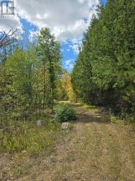 103080 HIGHWAY 7 HIGHWAY E Marmora and Lake (Marmora Ward) Ontario photo 1