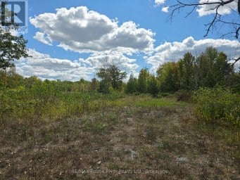 103080 HIGHWAY 7 HIGHWAY E Marmora and Lake (Marmora Ward) Ontario photo 2