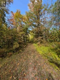 103080 HIGHWAY 7 HIGHWAY E Marmora and Lake (Marmora Ward) Ontario photo 3