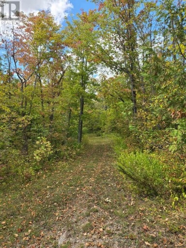 103080 HIGHWAY 7 HIGHWAY E, Marmora and Lake (Marmora Ward), Ontario, K0K2M0