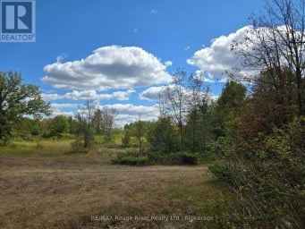 103080 HIGHWAY 7 HIGHWAY E Marmora and Lake (Marmora Ward) Ontario photo 5