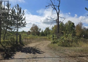 103080 HIGHWAY 7 HIGHWAY E Marmora and Lake (Marmora Ward) Ontario photo 6