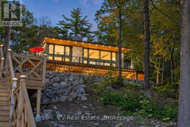 1009 DONALDSON STREET Lake of Bays (Ridout) Ontario photo 39