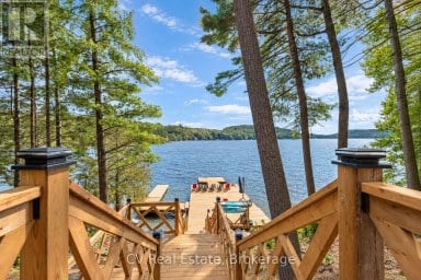 1009 DONALDSON STREET Lake of Bays (Ridout) Ontario photo 4