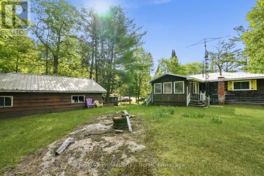 171 SUNNYSIDE STREET Dysart et al (Dysart) Ontario photo 39