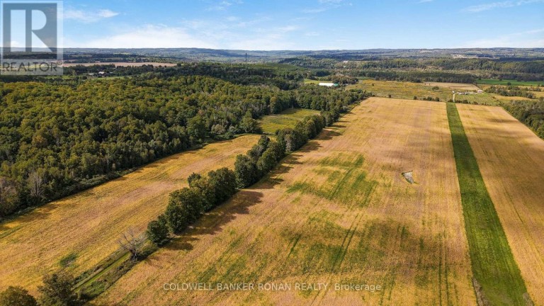 3182 CONCESSION ROAD 5, Adjala-Tosorontio, Ontario, L0G1L0