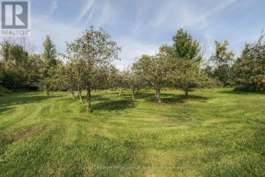 16 BONISTEEL ROAD Quinte West (Sidney Ward) Ontario photo 41