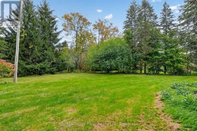 3756 BURNHAM STREET N Hamilton Township Ontario photo 39