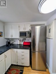 46 QUEEN STREET Selwyn Ontario photo 8