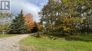 3362 FERGUSON ROAD Hamilton Township Ontario photo 27