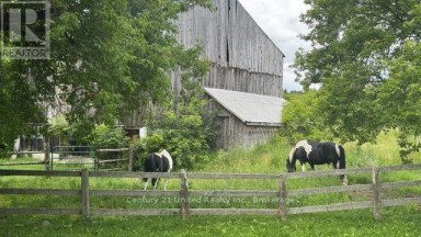 3362 FERGUSON ROAD Hamilton Township Ontario photo 9