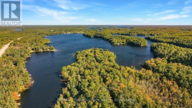 1012 SHETLAND ROAD Minden Hills (Lutterworth) Ontario photo 50