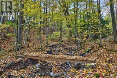 112 ARROWHEAD CRESCENT Blue Mountains Ontario photo 47