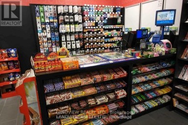 2 - 205 COLLEGE STREET Toronto (Kensington-Chinatown) Ontario photo 2