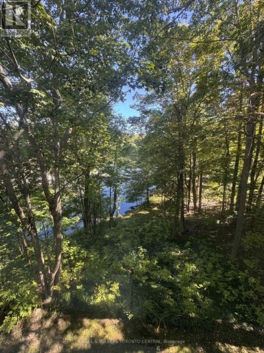 96 JOSEPH STREET, Muskoka Lakes (Medora), Ontario, P0B1J0