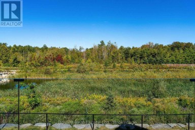 166 CHESTNUT STREET Blue Mountains Ontario photo 4